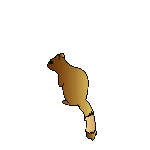 Fun Kids MX Books - Squirrel